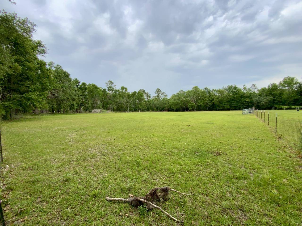 Vacant NE Bellville Road, Pinetta (madison County), FL 32350