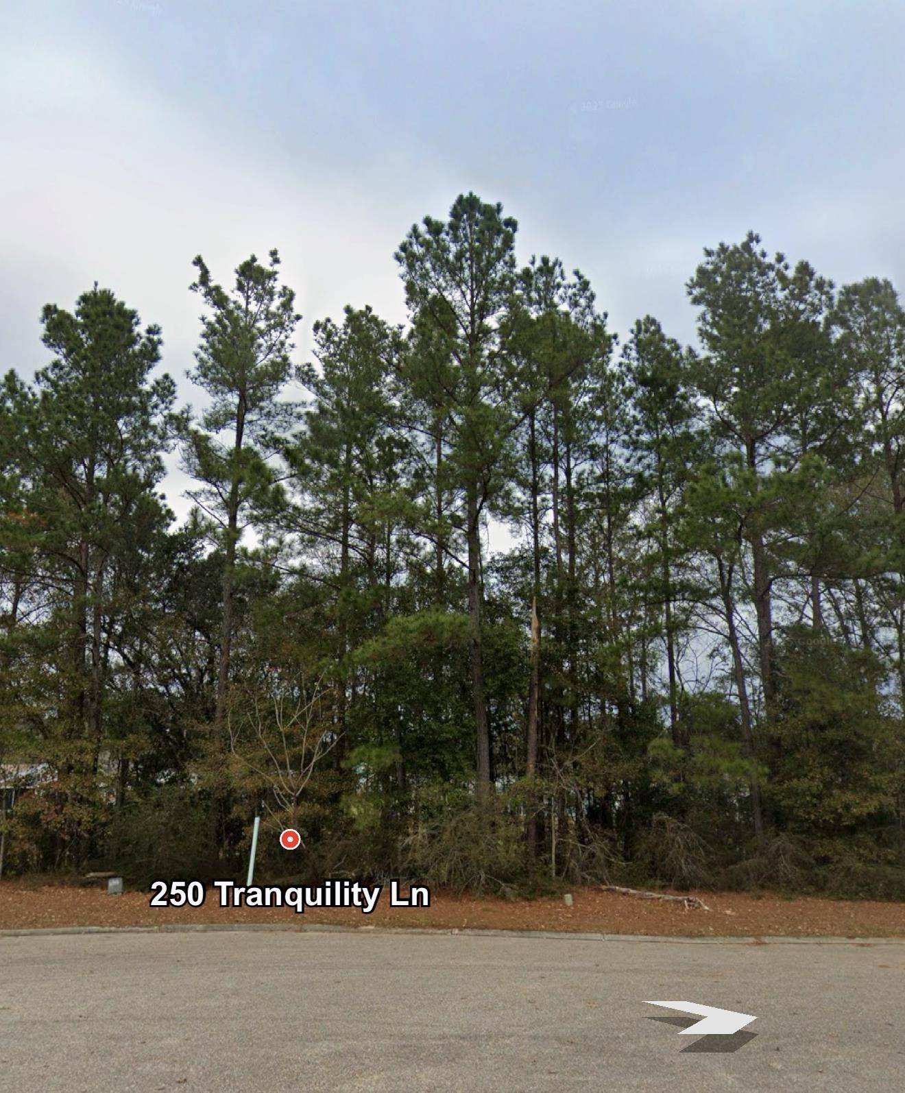 250 Tranquility Lane, Havana, FL 32333