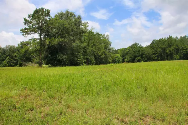 983 Mays Road, Lamont, FL 32336