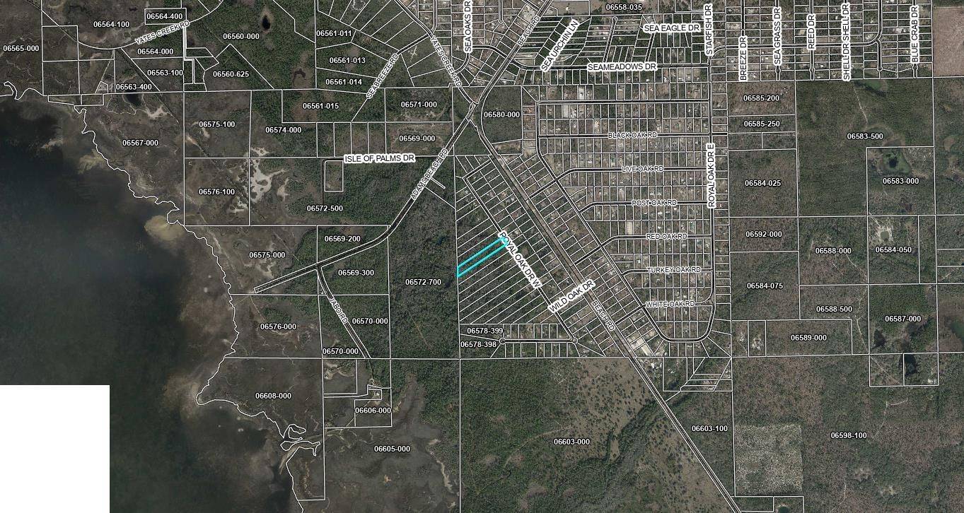 16539 W Royal Oak Drive, Keaton Beach, FL 32348