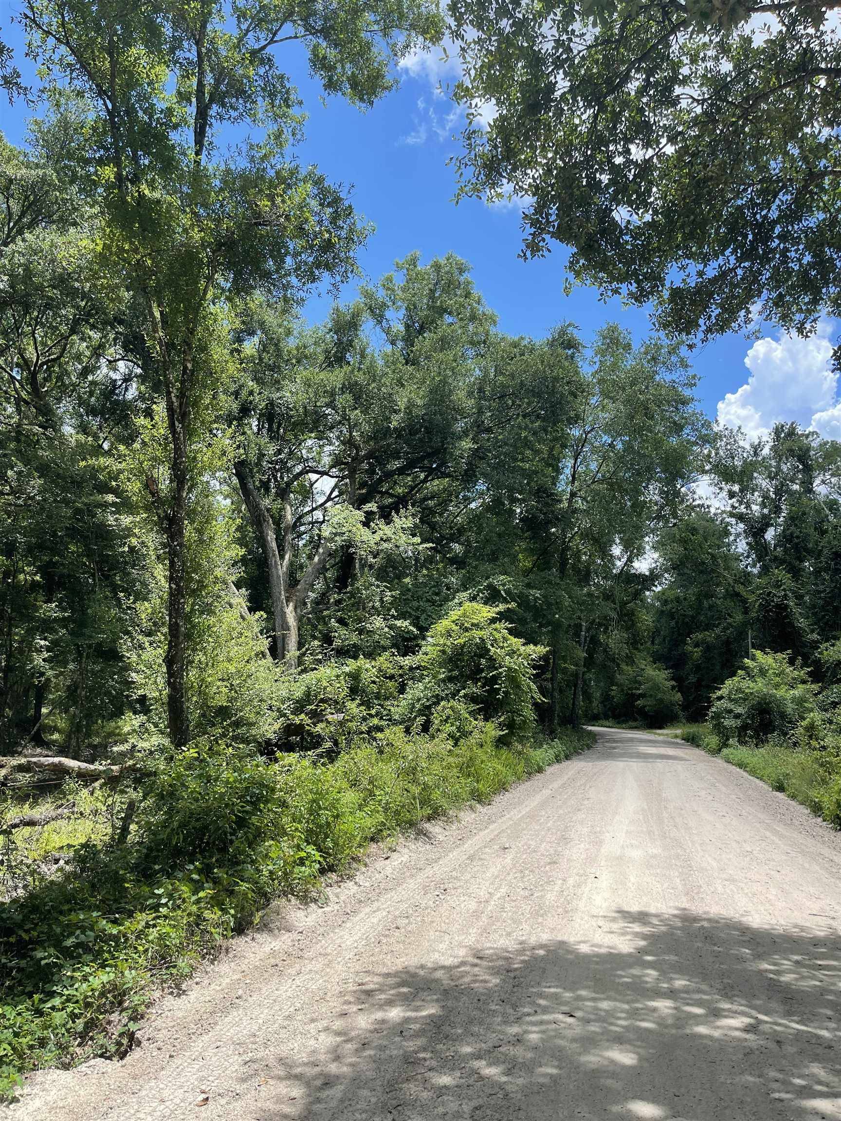 0 93rd Drive, Live Oak, FL 32060