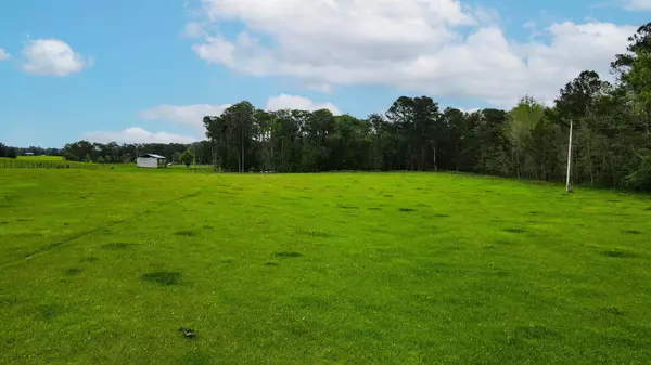 TBD NW Hawks Ave Avenue, Greenville, FL 32331