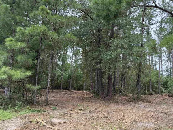 0 East Lake Road, Quincy, FL 32351