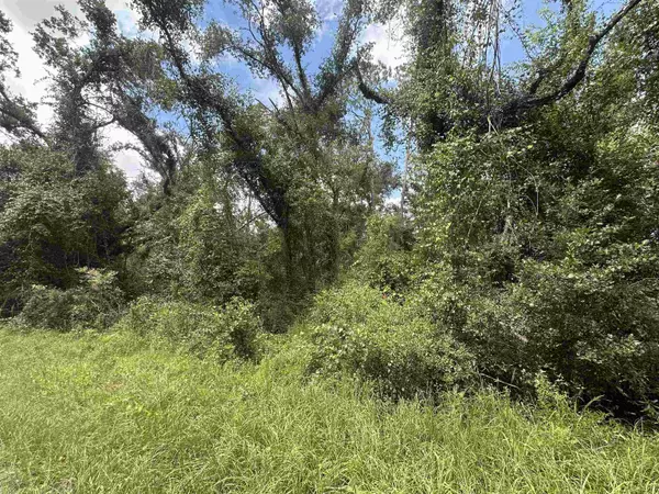 xxx NE River Country Trail,  Lee,  FL 32059