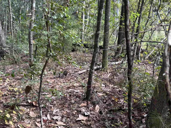 xxxx Sweetwater Lane, Tallahassee, FL 32311