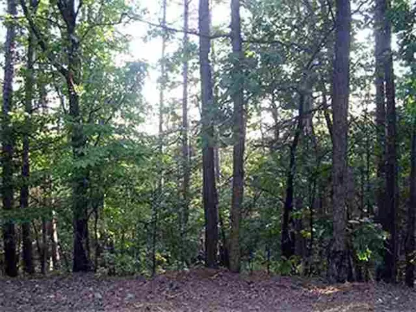 Hot Springs Village, AR 71909,20 Tamayo Way