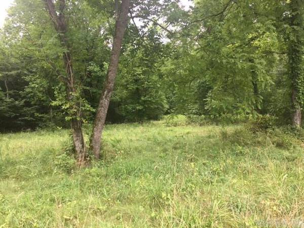 Pocahontas, AR 72455,0 Collins Road