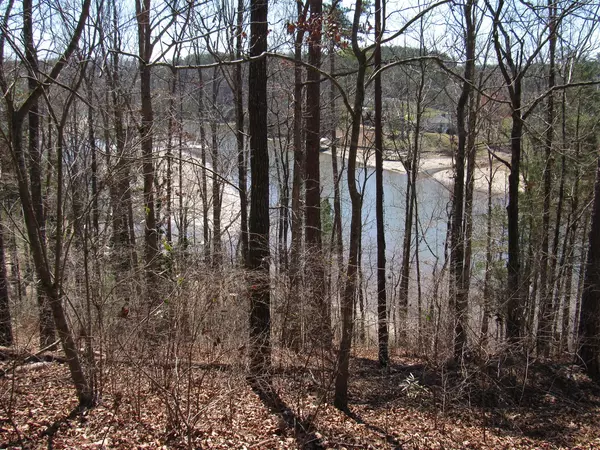Lot 13 Rock Creek Subdivision, Randolph, AL 36278