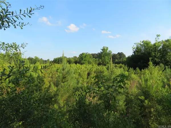 Arkadelphia, AR 71923,0 Curtis Road & Callaway Road