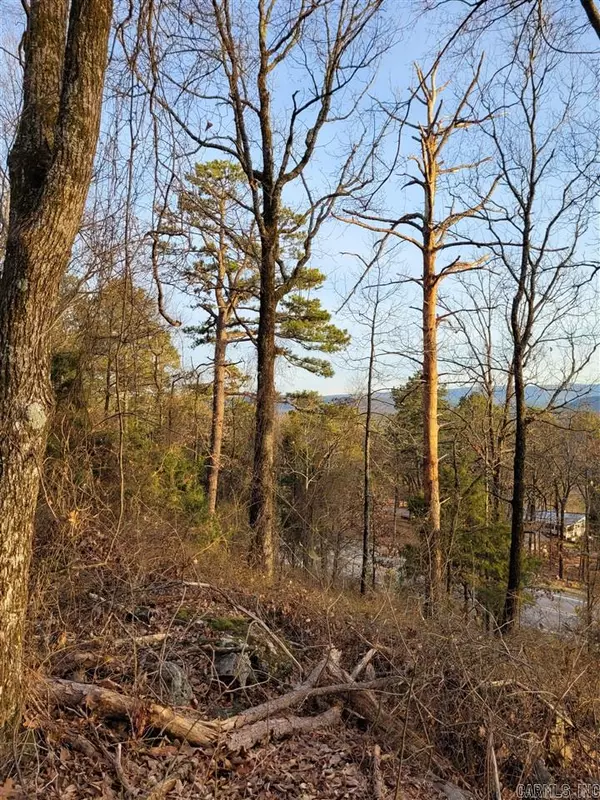 TBD HWY 309, Paris, AR 72855