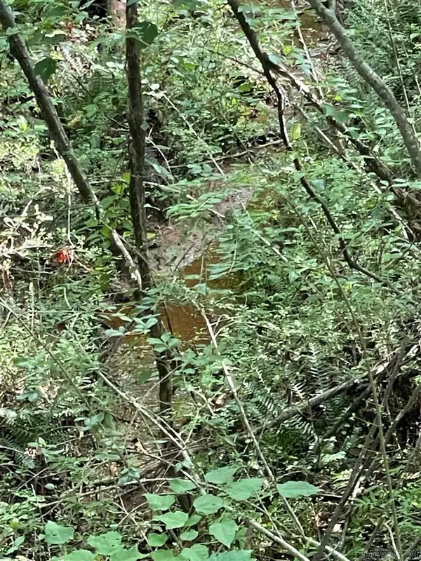 Randolph, AL 36278,0 0 County Rd 263