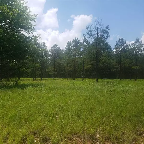 Greenbrier, AR 72058,91 Watson Lane