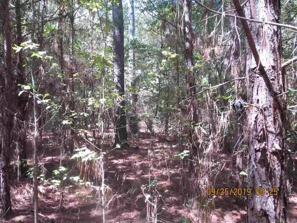 Monticello, AR 71655,0001 Rural Coleman