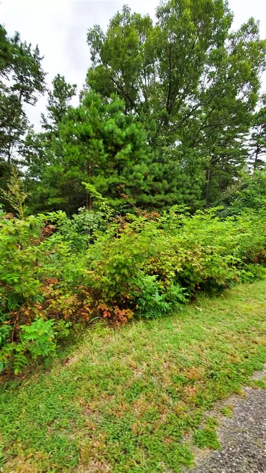 Greers Ferry, AR 72067,0 Brittany Cove Lot 10