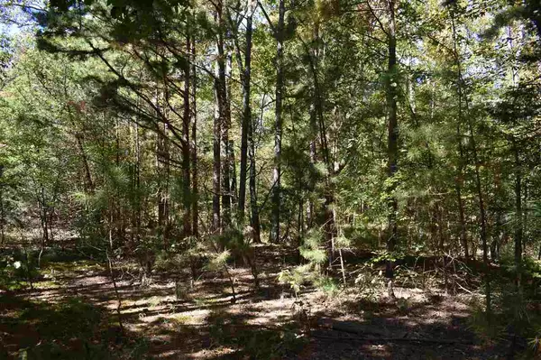 Mount Ida, AR 71957,0000 E HWY 270