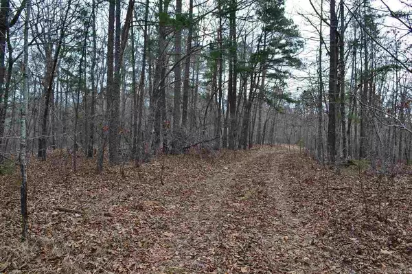 Harriet, AR 72639,239 Evening Star Rd.