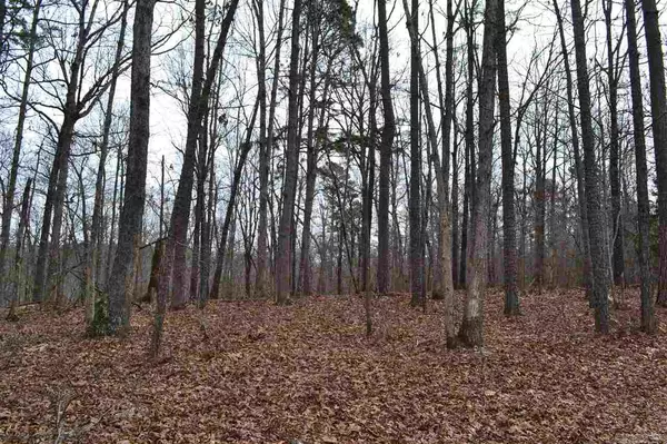 Harriet, AR 72639,239 Evening Star Rd.