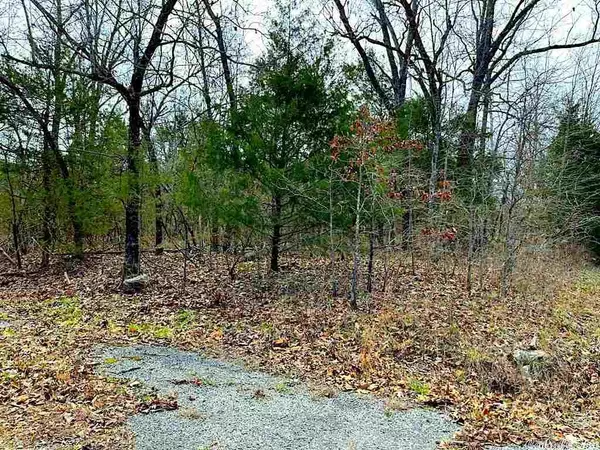 1101 Madison Avenue, Horseshoe Bend, AR 72512