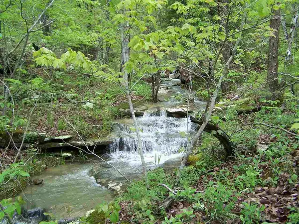 Leslie, AR 72645,Address not disclosed