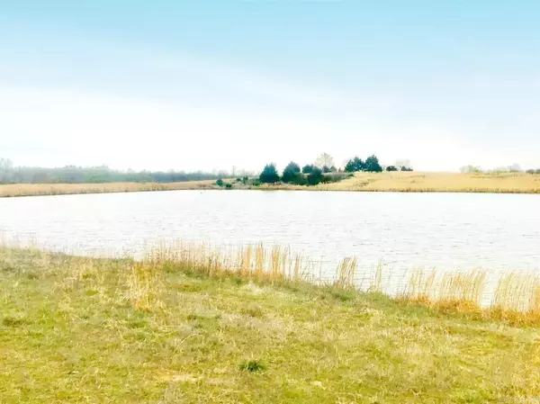 Rector, AR 72461,CR 422