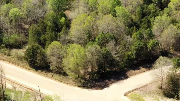 40 Acres Caney Valley Road, Plumerville, AR 72127