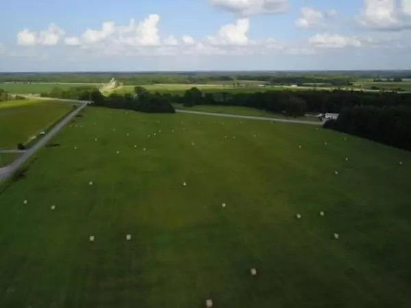 Lovers Lane Lane, Bald Knob, AR 72010