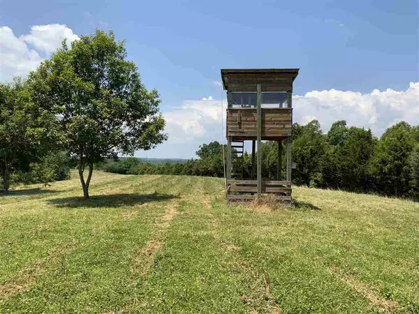 Harriet, AR 72639,807 Low Yield Drive