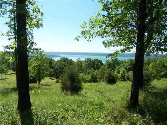 Quitman, AR 72131,Lot 27 Diamond Bluff Rd.