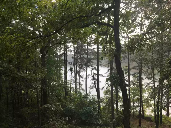 Greers Ferry, AR 72067,Lot 4 Brittany Cove