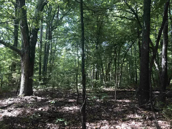 Harriet, AR 72639,949 Low Yield Drive