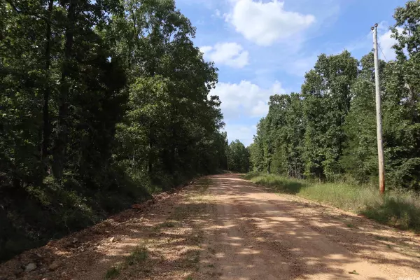 TBD Wren Rd, Gepp, AR 72538