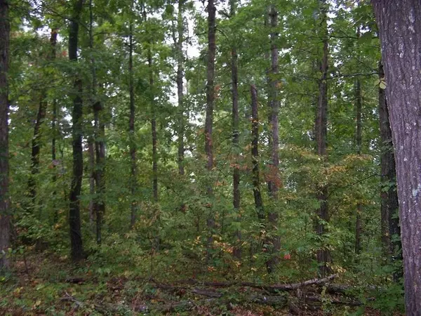 Harriet, AR 72639,208 Acres Cozahome Rd