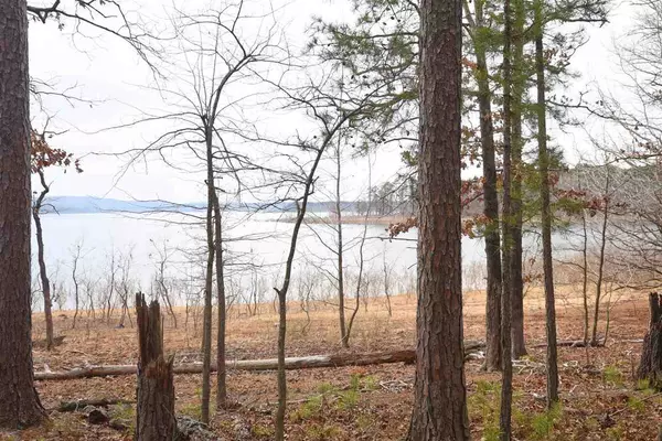 Greers Ferry, AR 72067,Lot 20 Shiloh Landing Drive