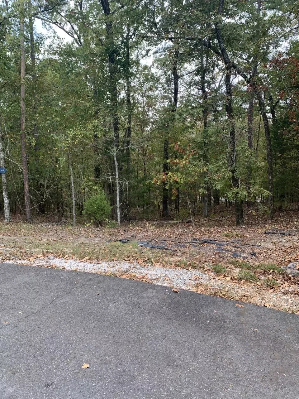Hot Springs Village, AR 71909,11 Alcazaba Lane