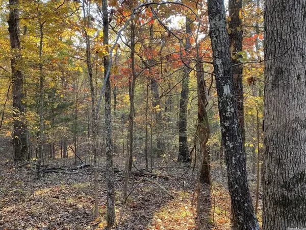 Calico Rock, AR 72519,02 AR 223 Highway