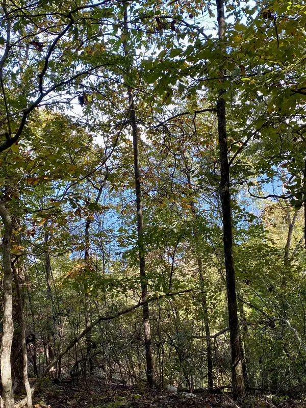 Quitman, AR 72131,Lot 23 Diamond Bluff Road