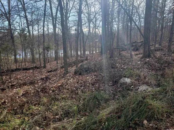 Highland, AR 72542,W Lakeshore Drive