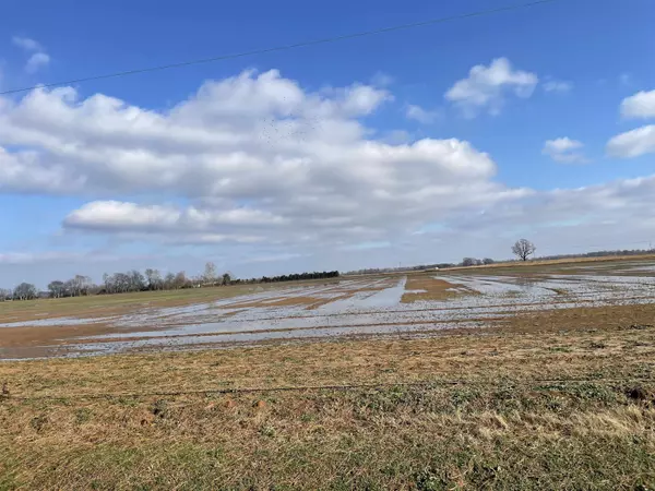 Biggers, AR 72413,0 highway 67
