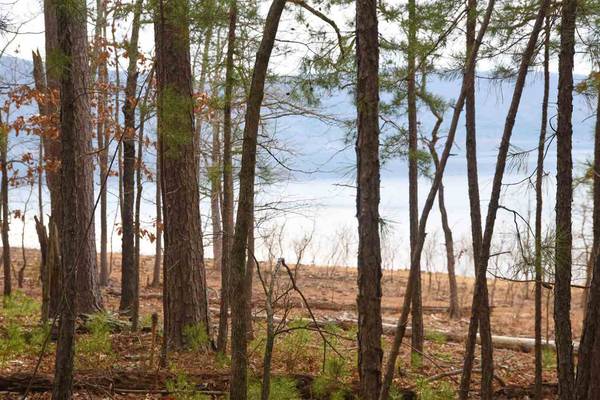 Greers Ferry, AR 72067,Lot 25 Shiloh Landing