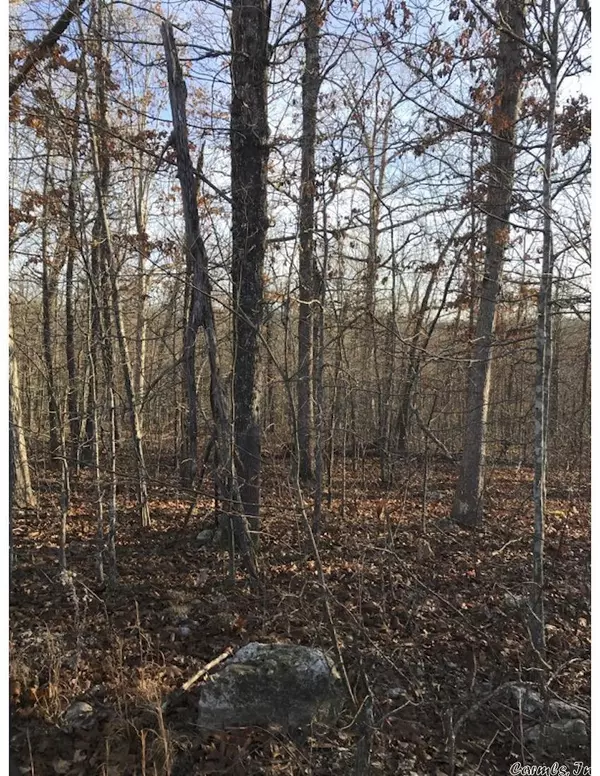 Mammoth Spring, AR 72554,Lot 6 Hillview Addition