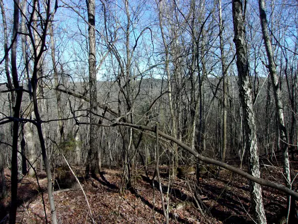 Big Flat, AR 72617,Address not disclosed