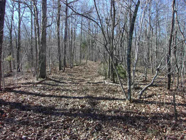 Big Flat, AR 72617,Address not disclosed