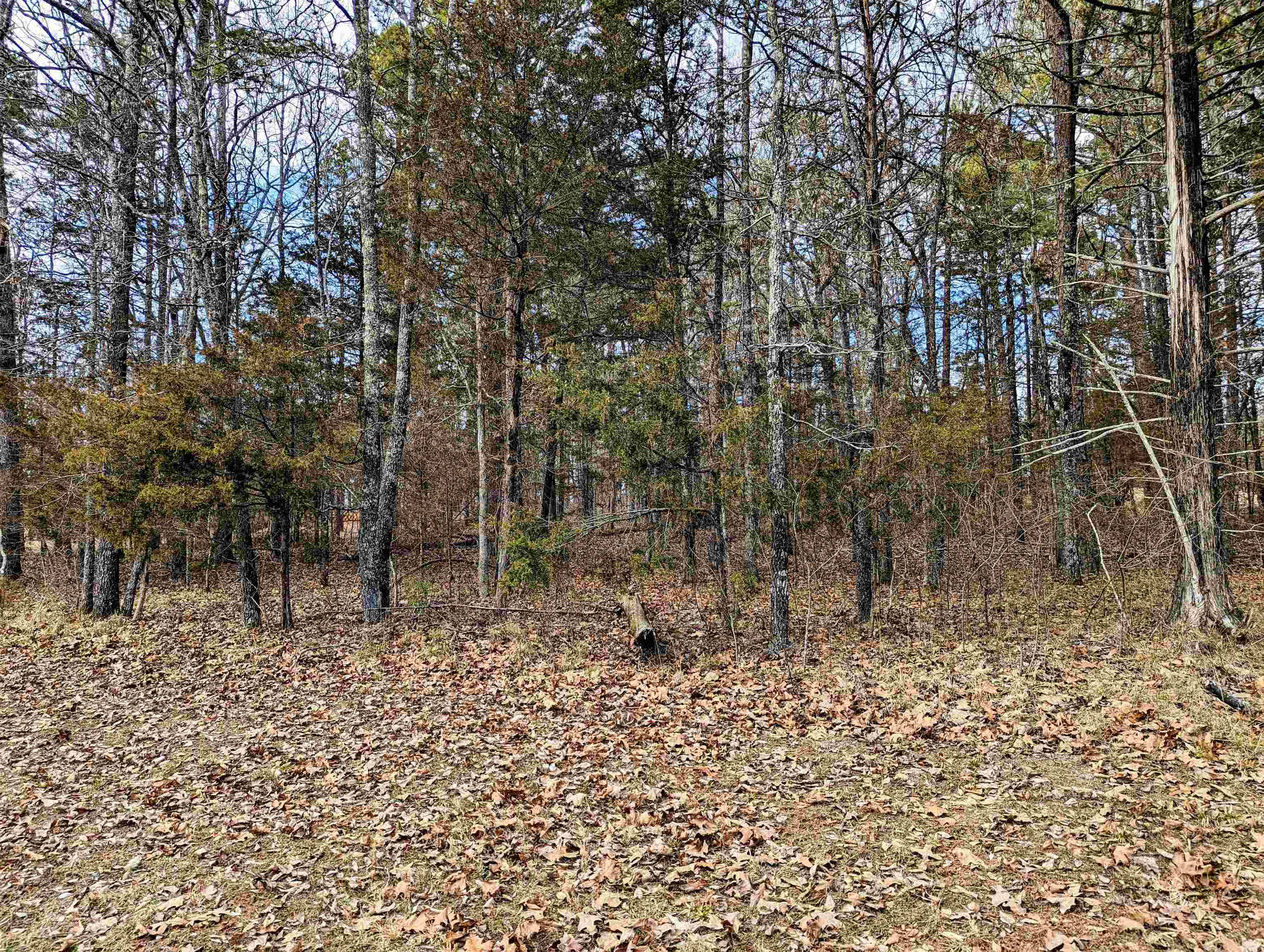 0 Brittany Cove Drive, Greers Ferry, AR 72067