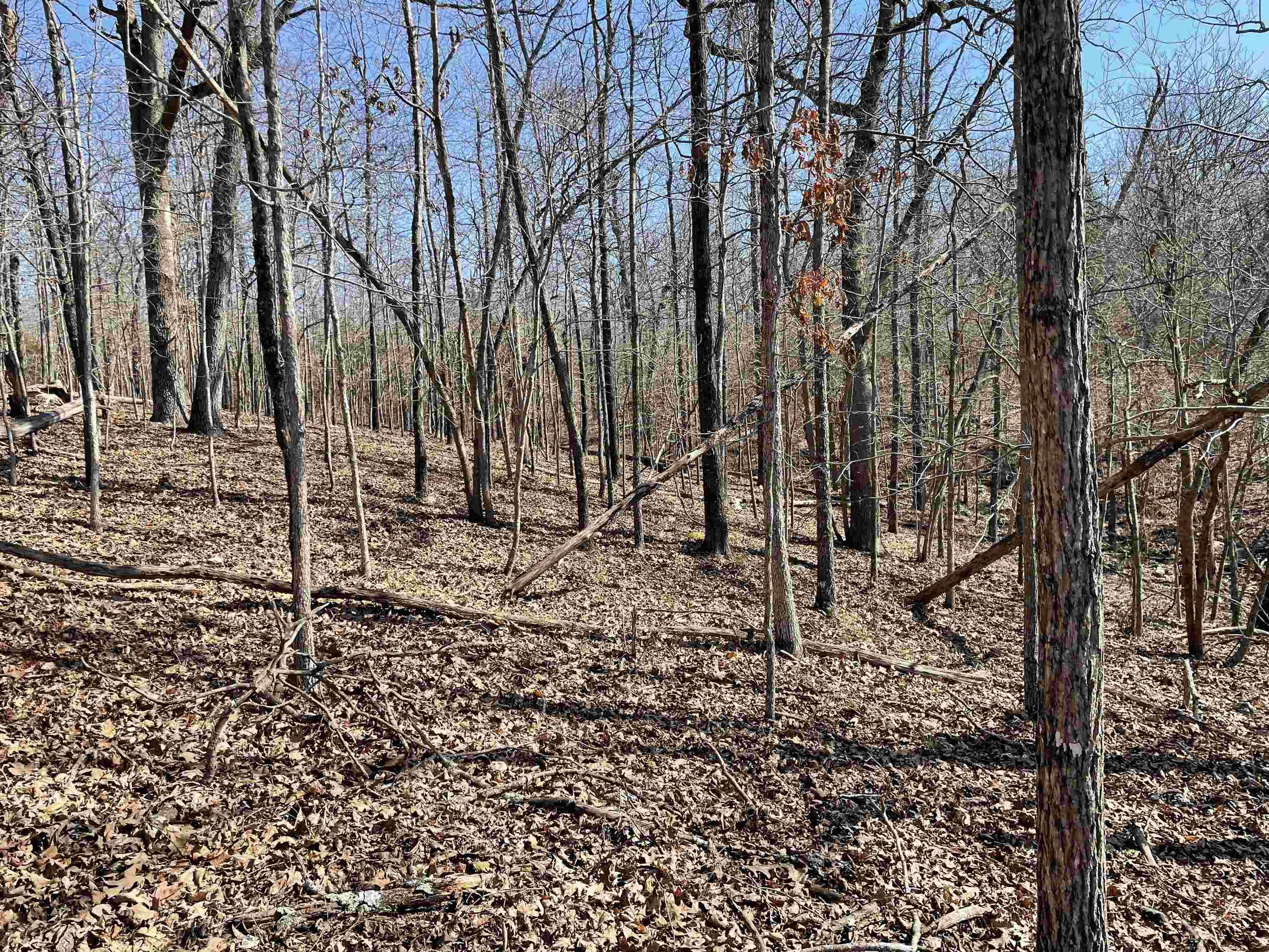 1615 Vantage Ln, Horseshoe Bend, AR 72512