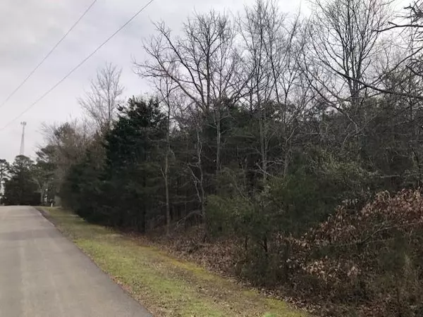Mason Lane, Pleasant Plains, AR 72568