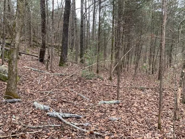 800 Eagle Roost Road, Norfork, AR 72658