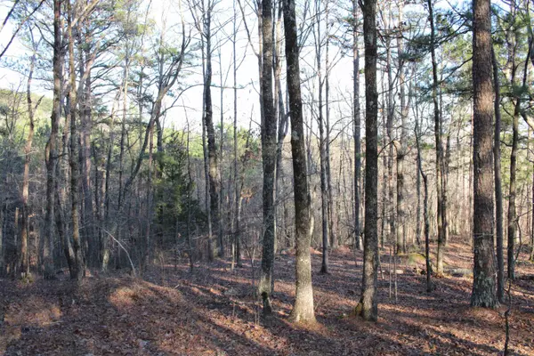 Paron, AR 71949,Address not disclosed