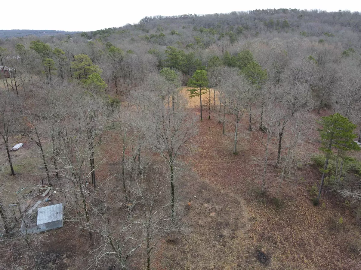 Drasco, AR 72543,541 Nubbin Ridge RD