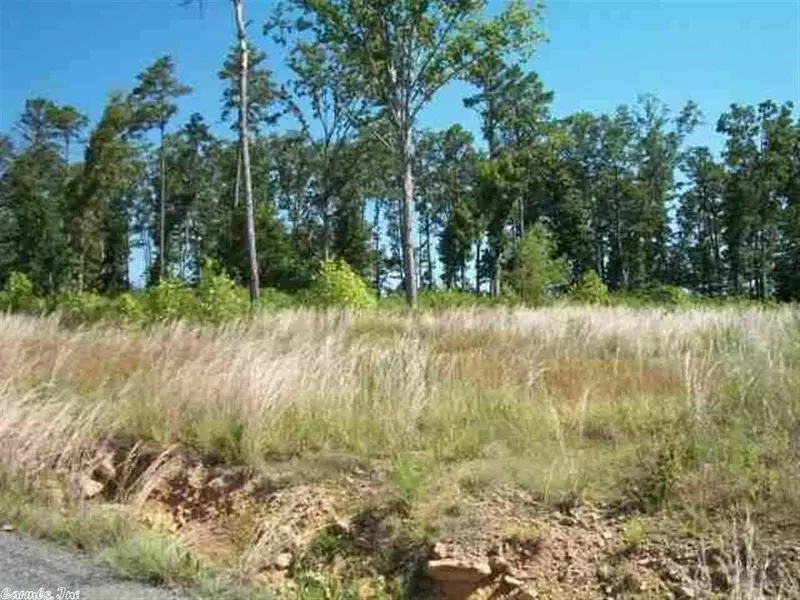 Lot 33 Bluff Drive, Edgemont, AR 72044