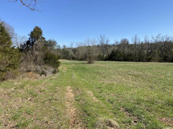 222 Gorby Road, Calico Rock, AR 72519